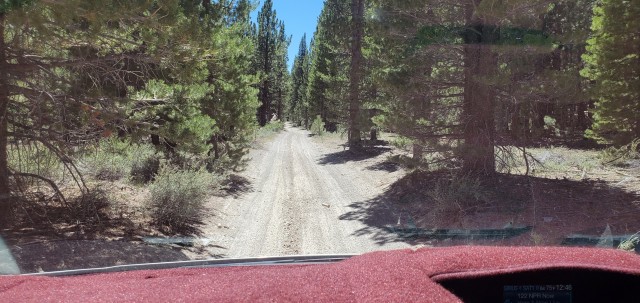 photo showing a one-lane dirt road