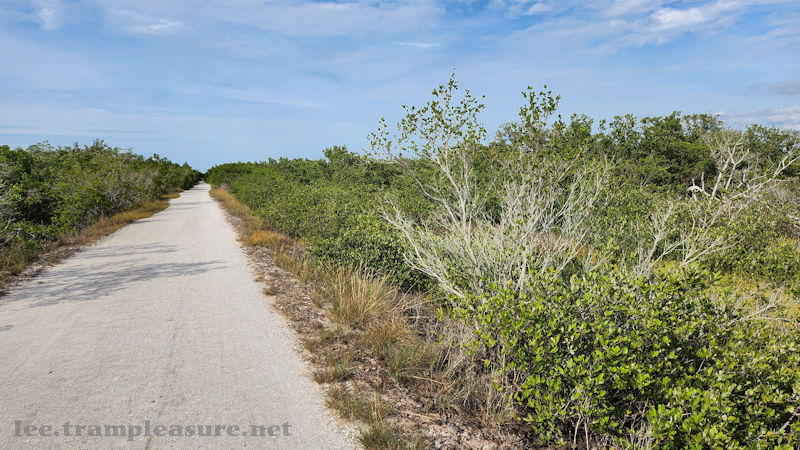 photo showing a gravel trail with shrubs on both sides.