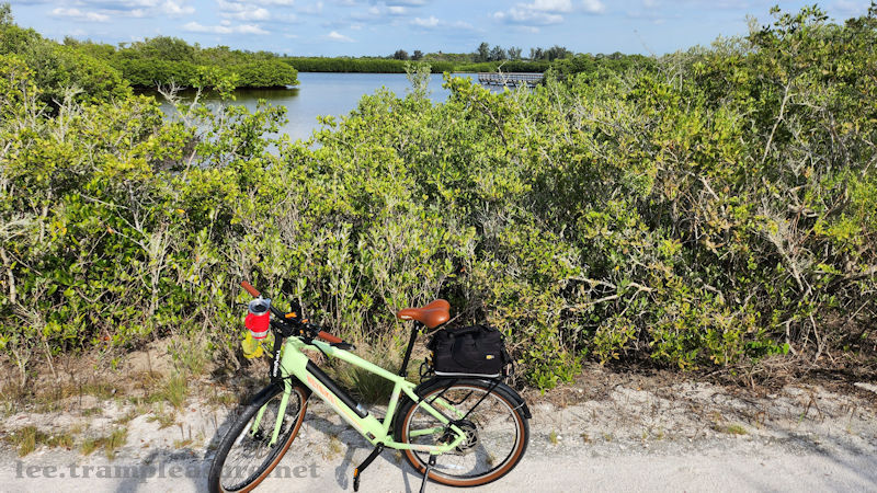 photo showing bike with lagoon behind some shrubs