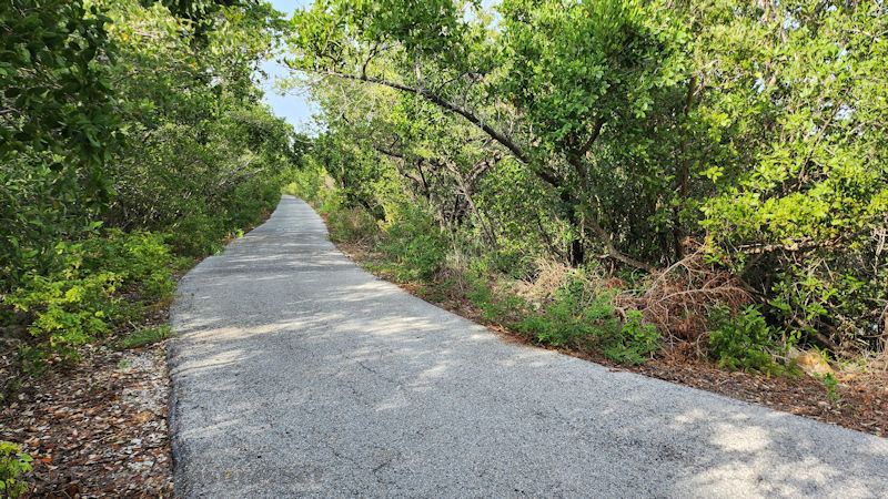Photo showing a paved path through trees.