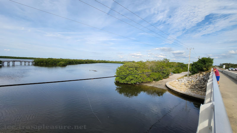 Photo taken from an overpass showing a lagoon under it