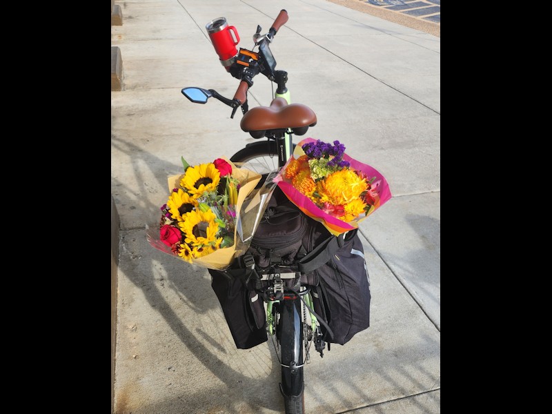 photo showing flowers in panniers on a bike